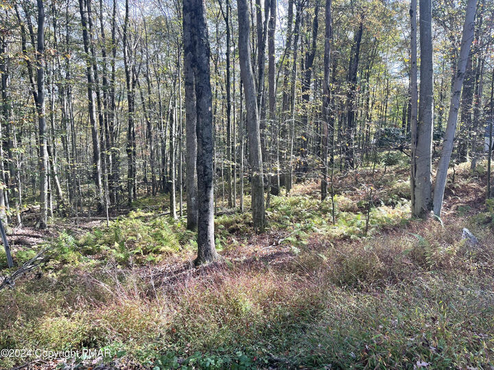 Property Photo: Mountain Ash Lane PA 18661