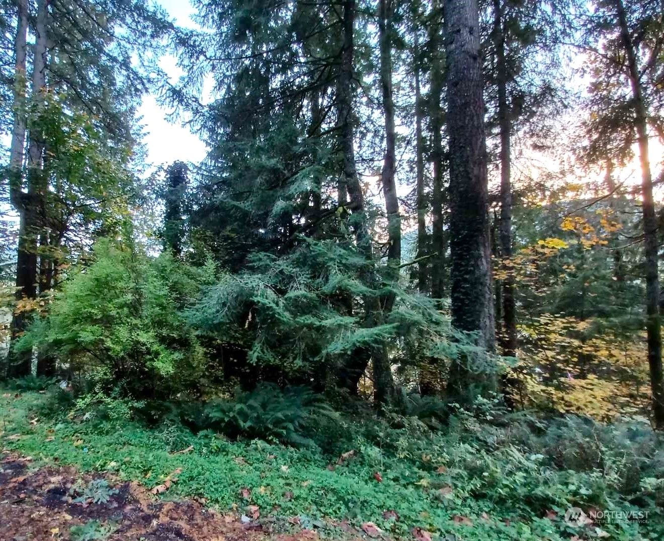 Property Photo:  375 Sudden Valley Drive  WA 98229 