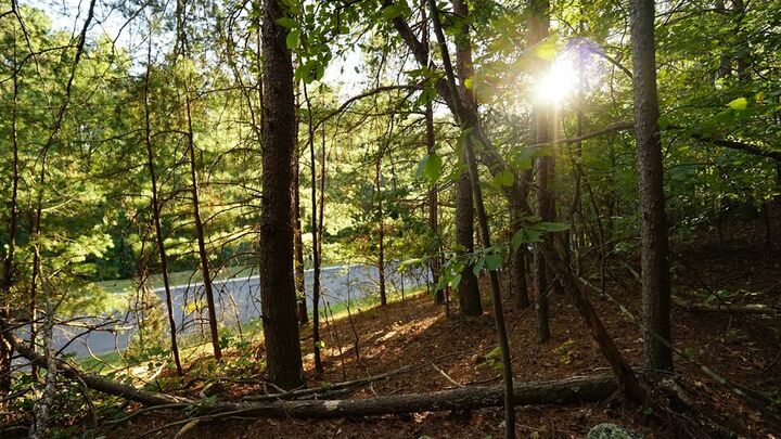 Property Photo: Lot 6 Eden Park Drive GA 30740