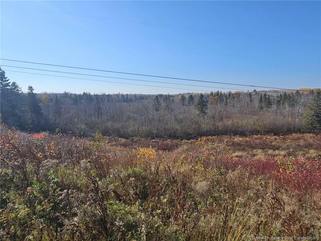 Property Photo:  33.8 Acres Riverside Drive  NB E2A 6L4 