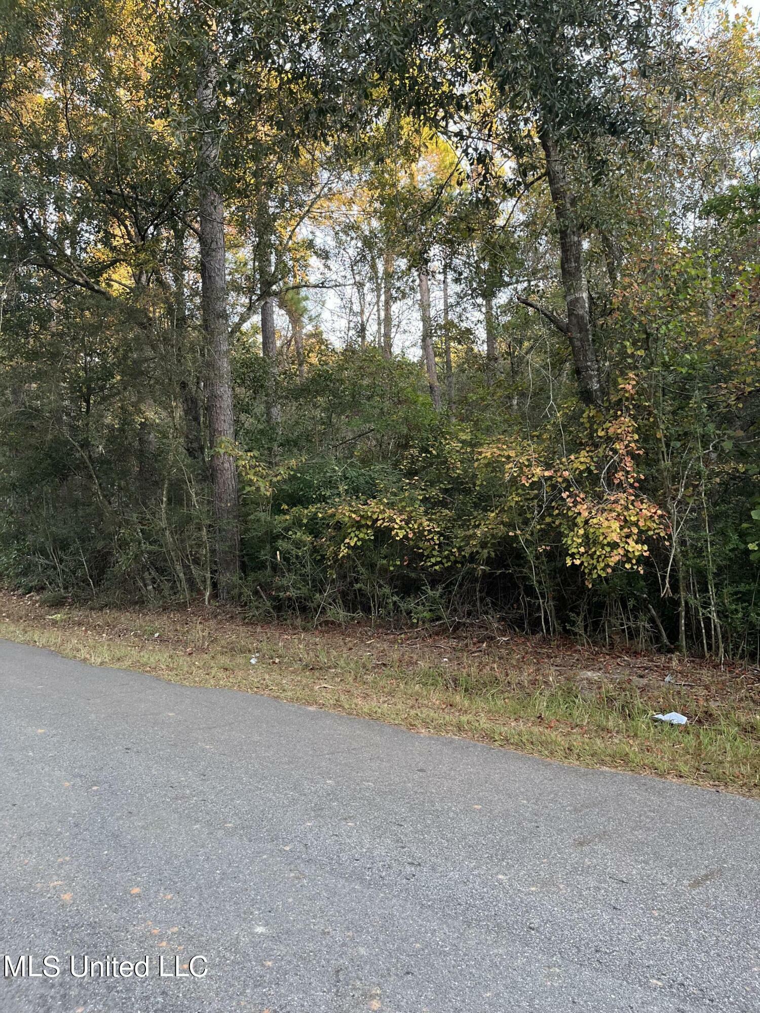 Property Photo:  Sampson Road  MS 39452 