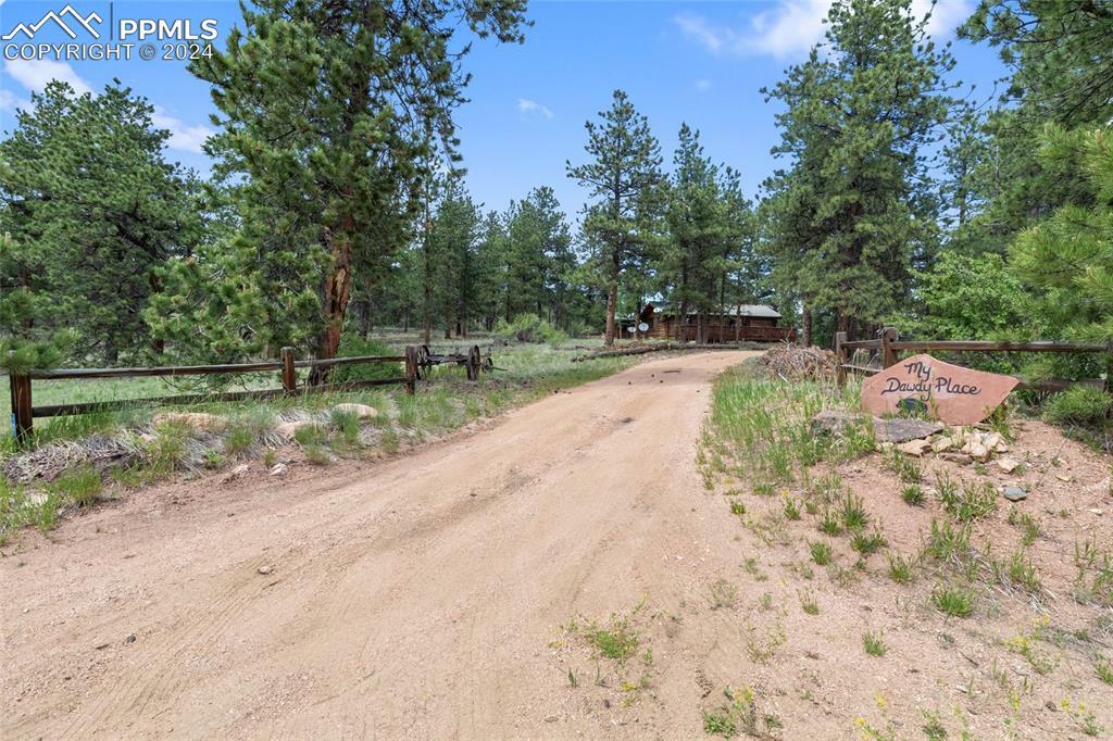 Property Photo:  117 Pine Forest Road  CO 80827 