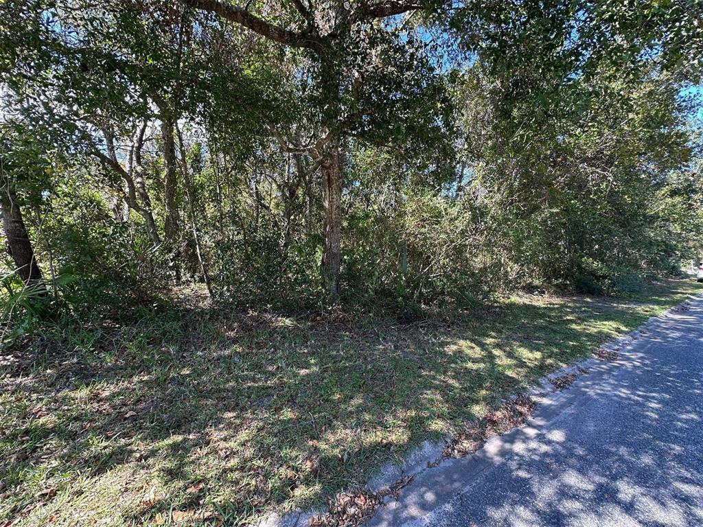 Property Photo:  96037 Sail Wind Way  FL 32097 