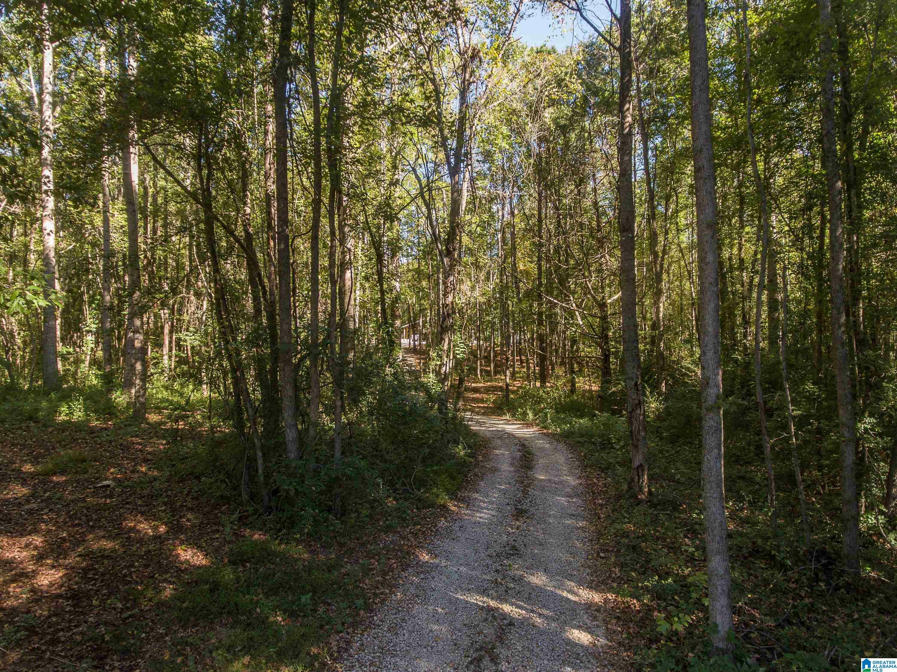 Property Photo: 431 County Road 30 431 AL 36274