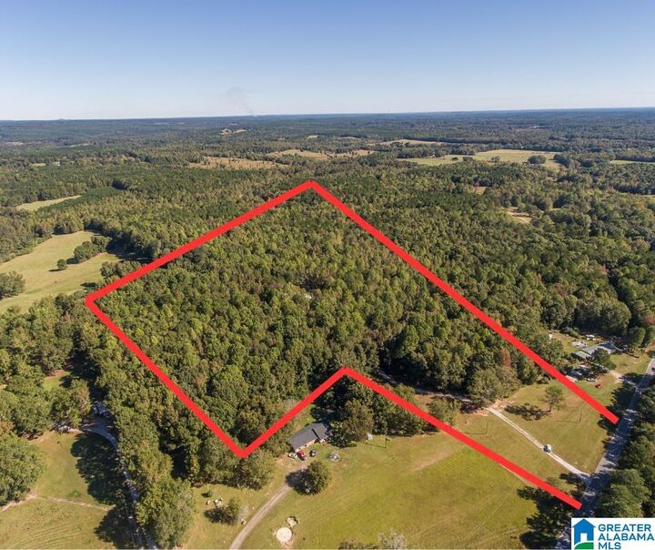 431 County Road 30 431  Roanoke AL 36274 photo