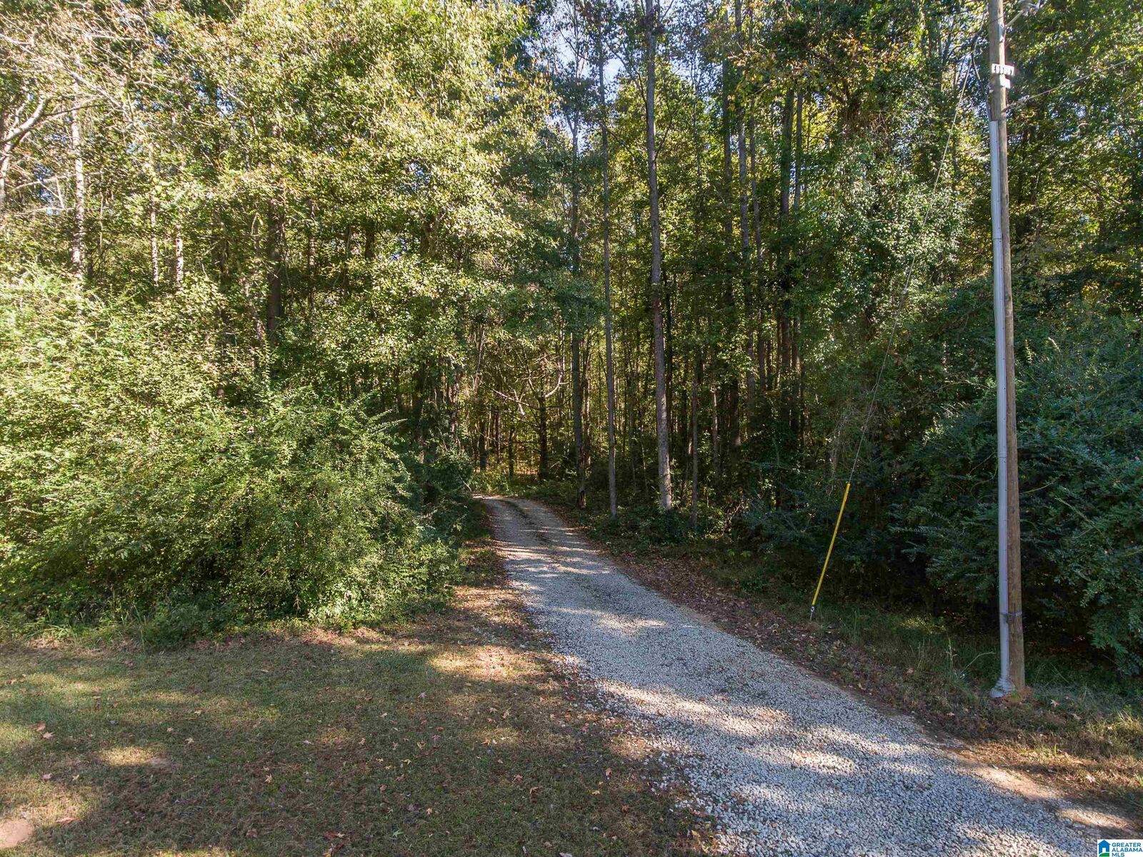 Property Photo: 431 County Road 30 431 AL 36274