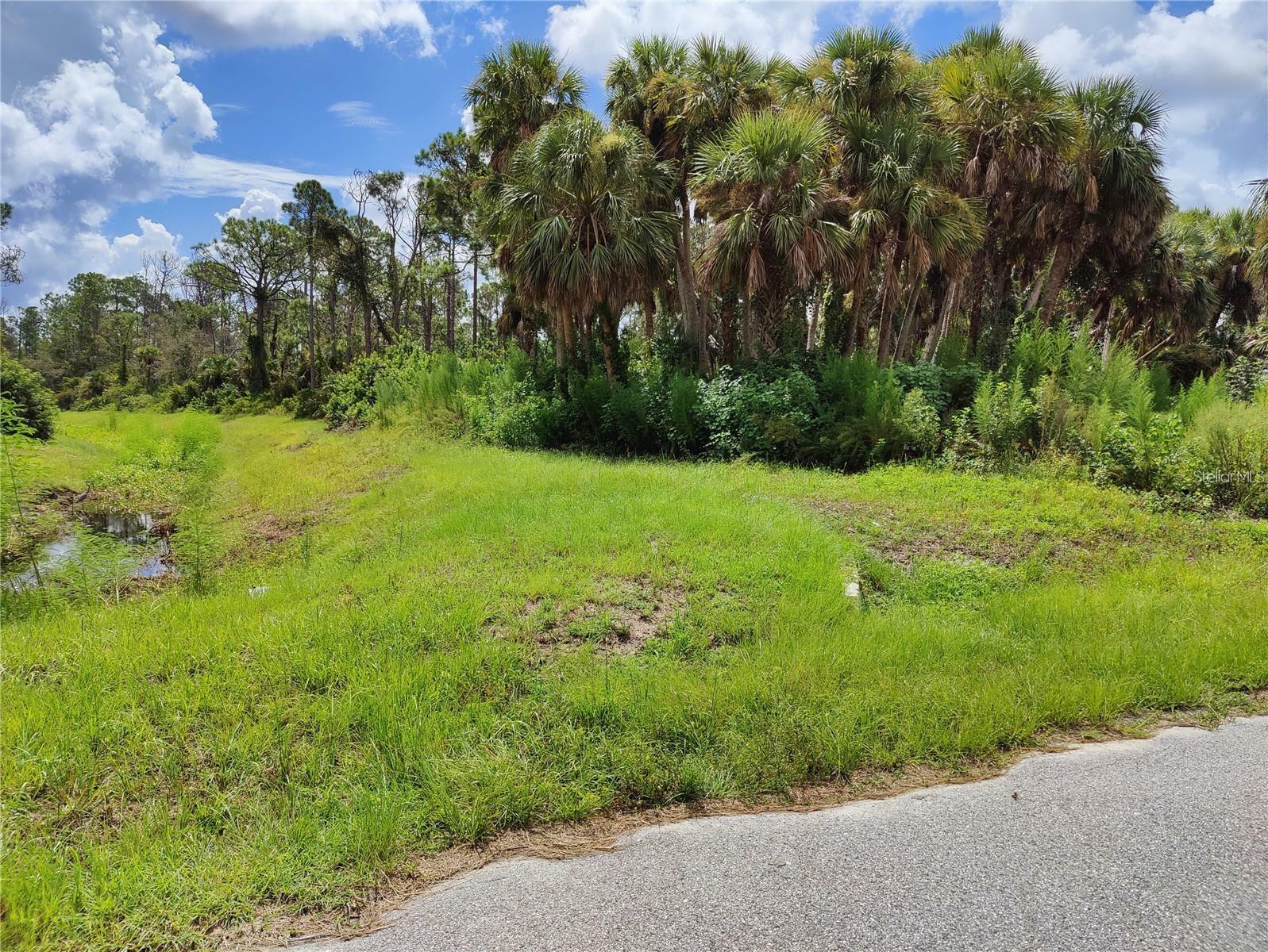 Property Photo:  Raven Street  FL 34286 