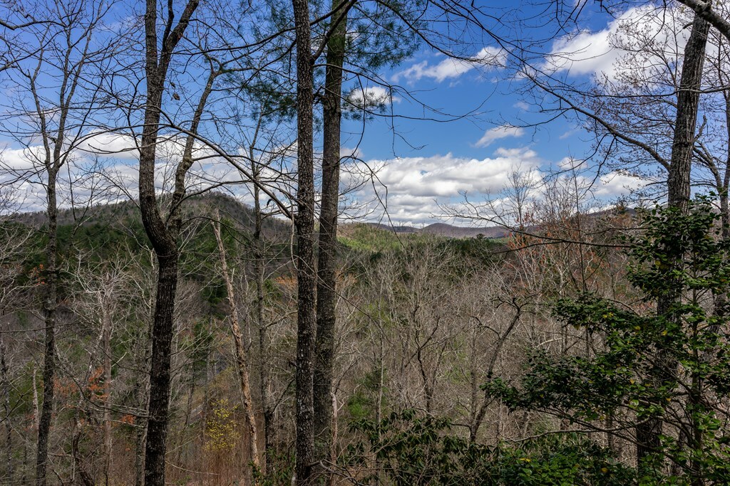 Property Photo:  259 Toccoa Overlook  GA 30513 