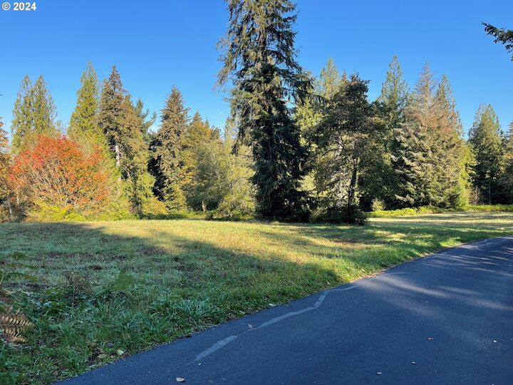 Property Photo: 0 Brown Rd 1 WA 98671