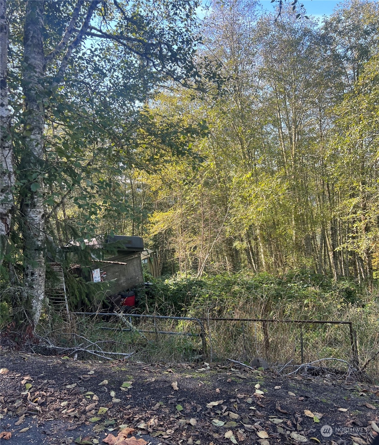 Property Photo:  212 Wagner Road  WA 98626 