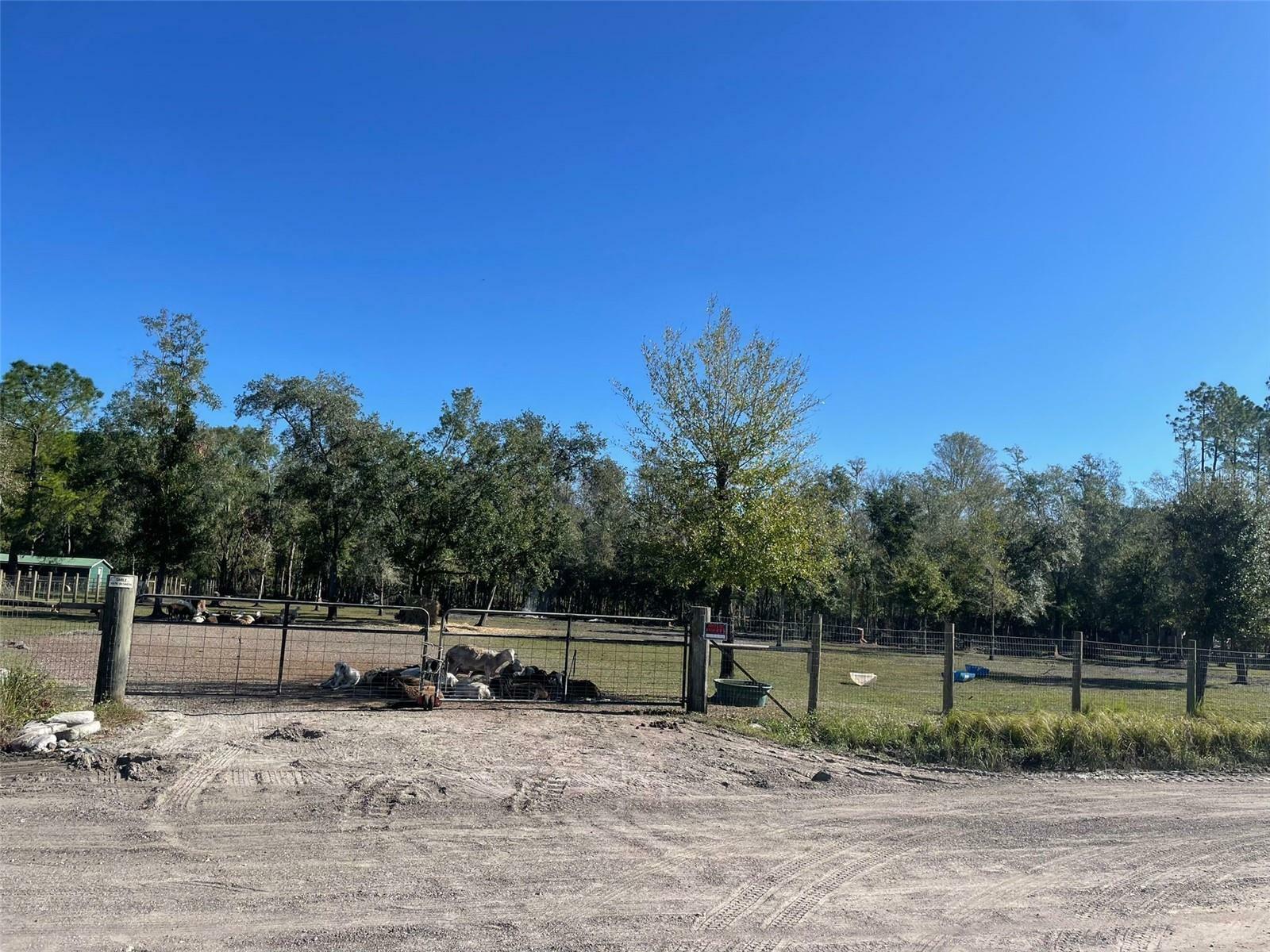 Property Photo:  2609 Forestland Drive  FL 33809 