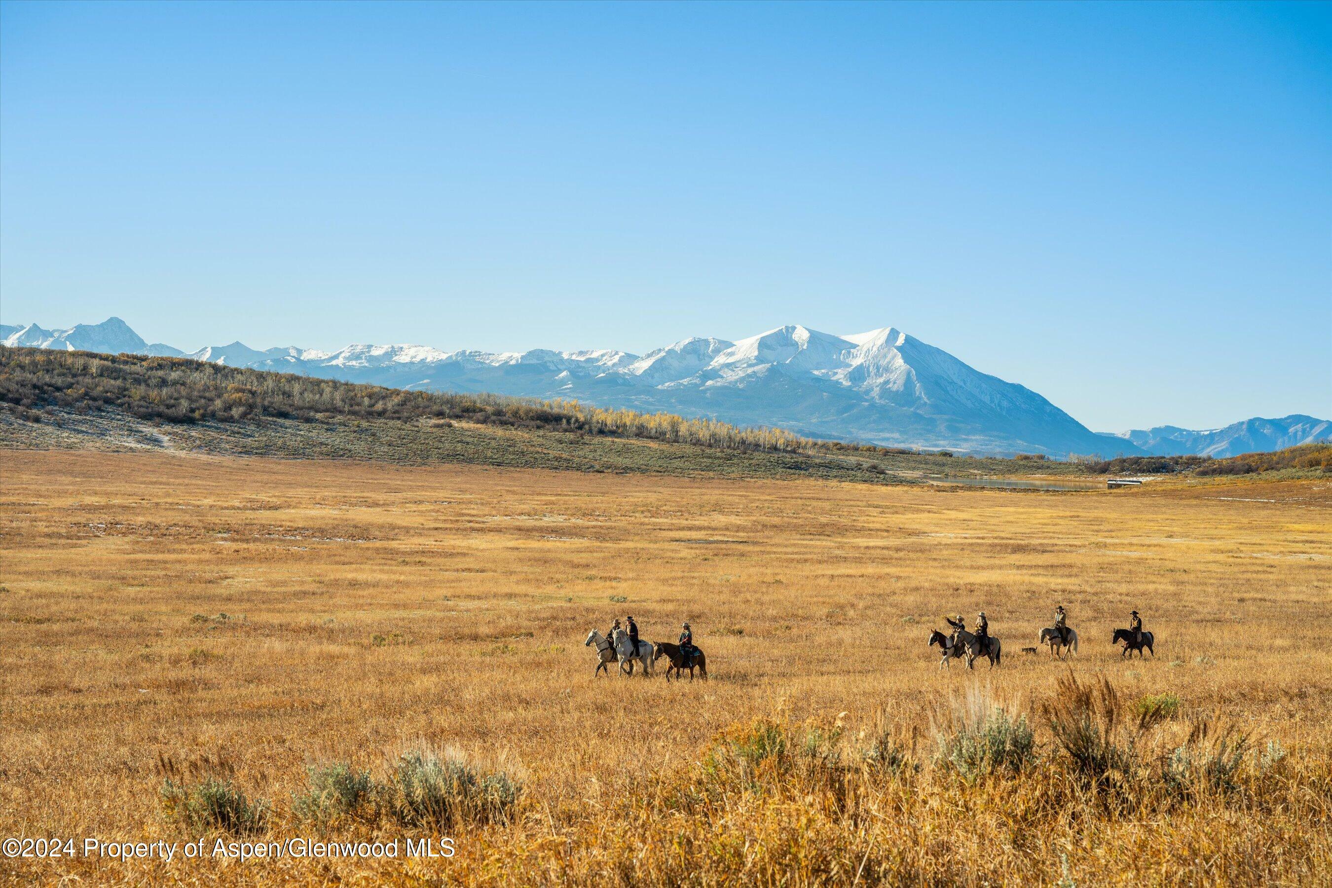 Property Photo:  6800 Upper Cattle Creek Road  CO 81623 