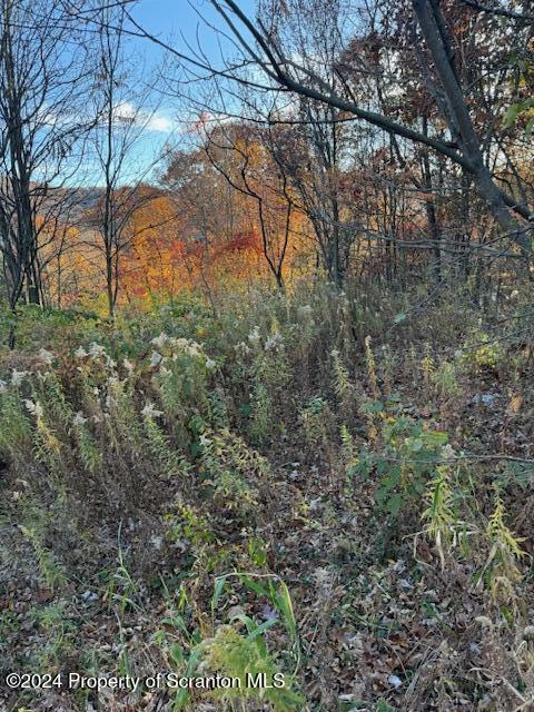 Property Photo:  Lot 37 N Skyline Drive  PA 18411 