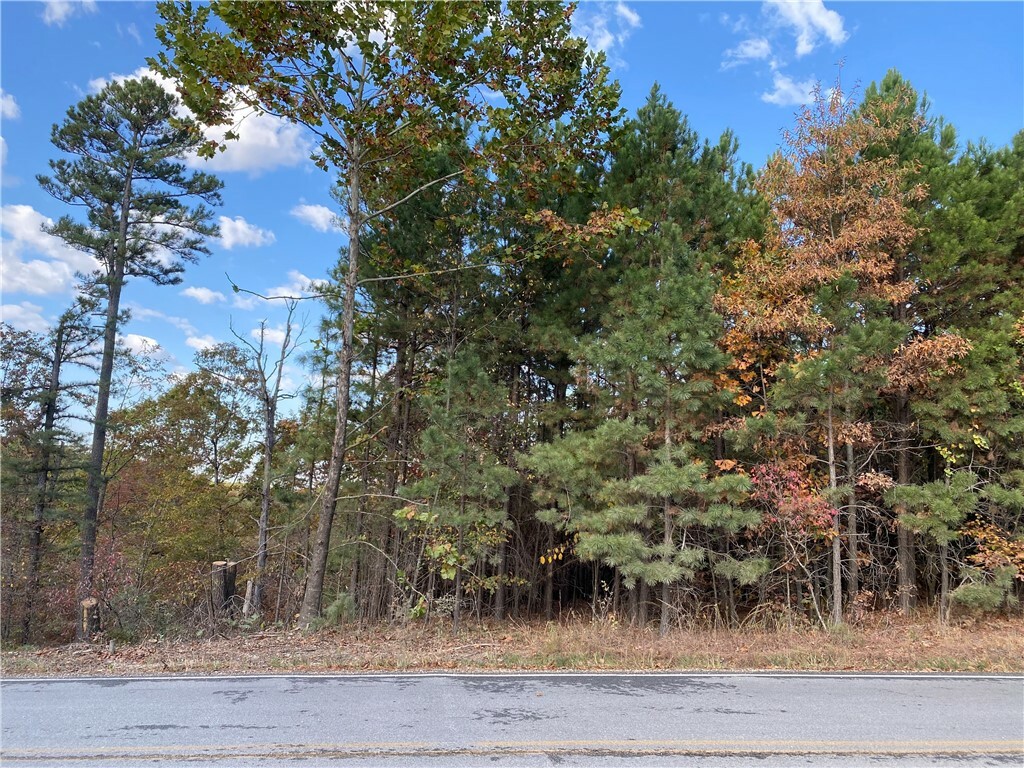 Railroad Cut Road  Rogers AR 72756 photo