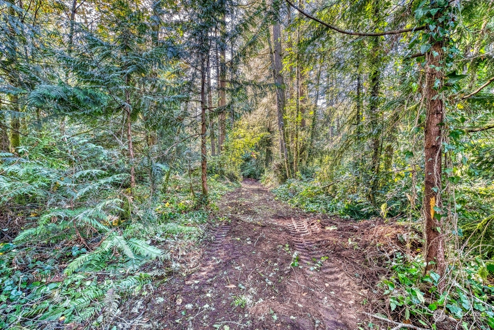 Property Photo:  4820 69th Street NW  WA 98335 