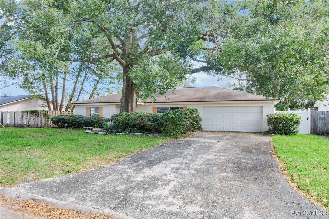 Property Photo:  10513 Homestead Drive  FL 33618 