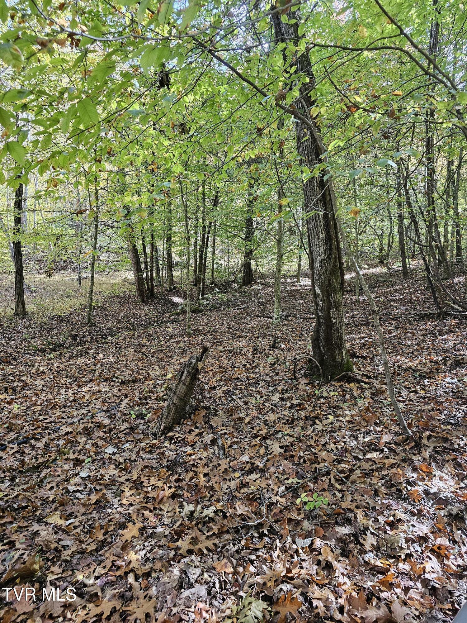 Property Photo:  5.85 Acres Judge Clark Road  TN 37659 