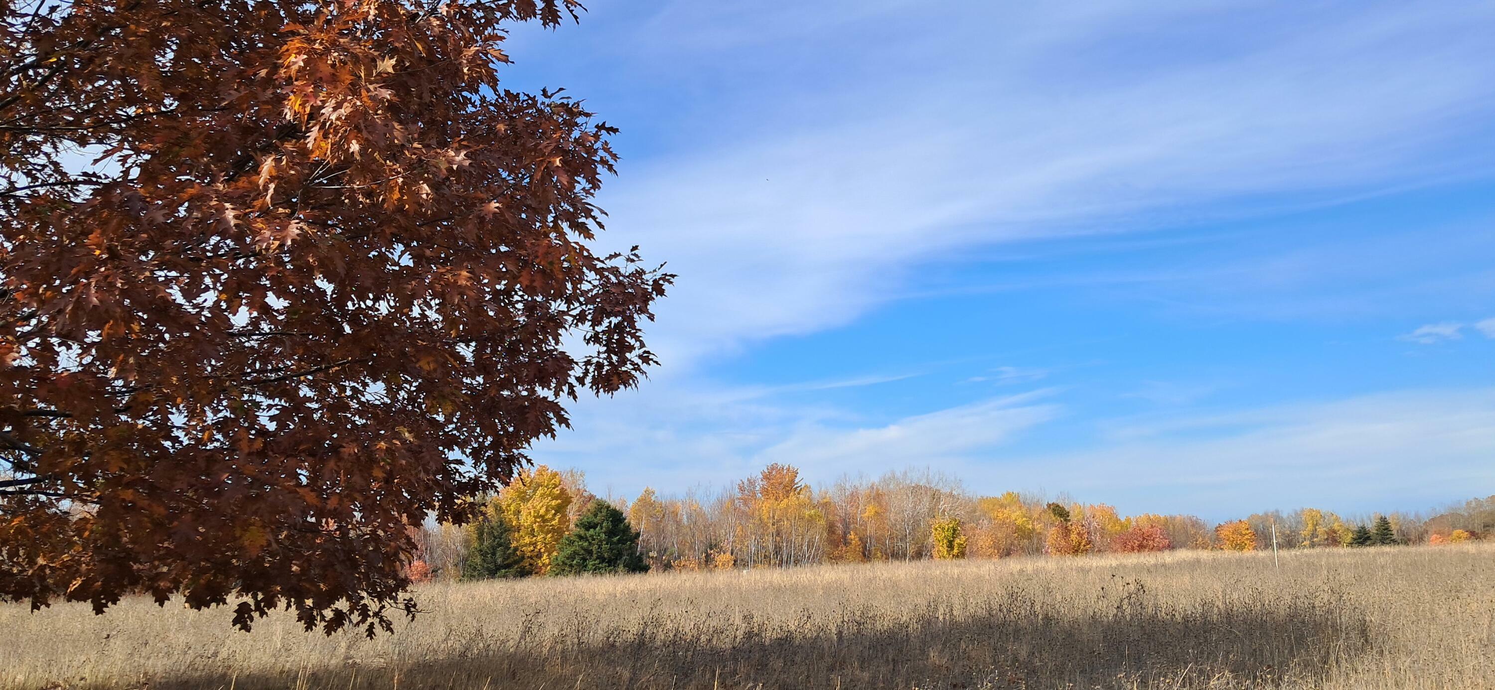 Property Photo:  Tbd Mullett View Dr Parcel#11  MI 49721 