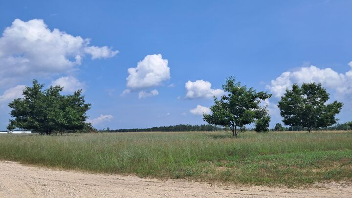 Tbd Mullett View Dr  Cheboygan MI 49721 photo