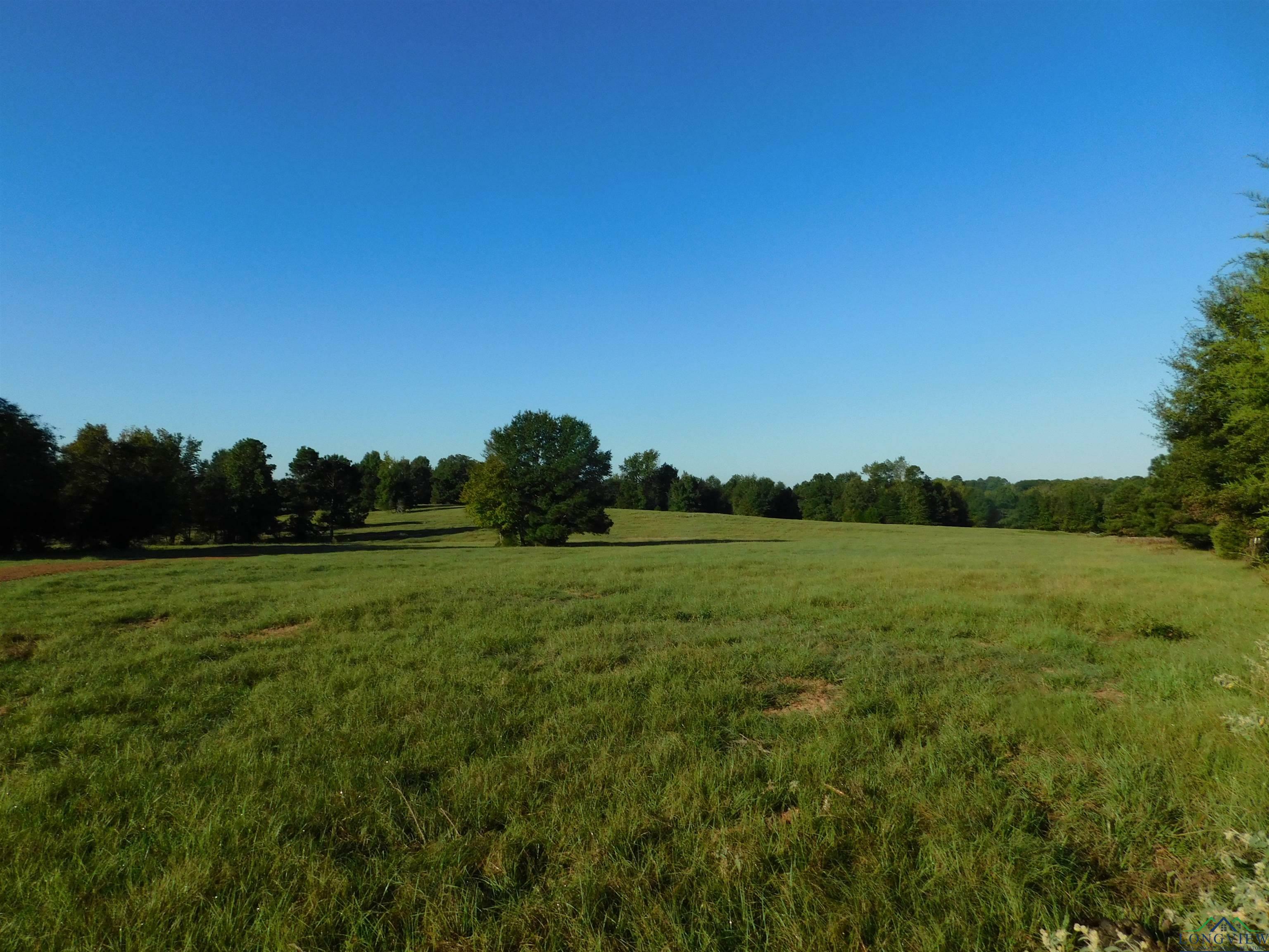 Property Photo:  Tbd Deer Rd  TX 75644 