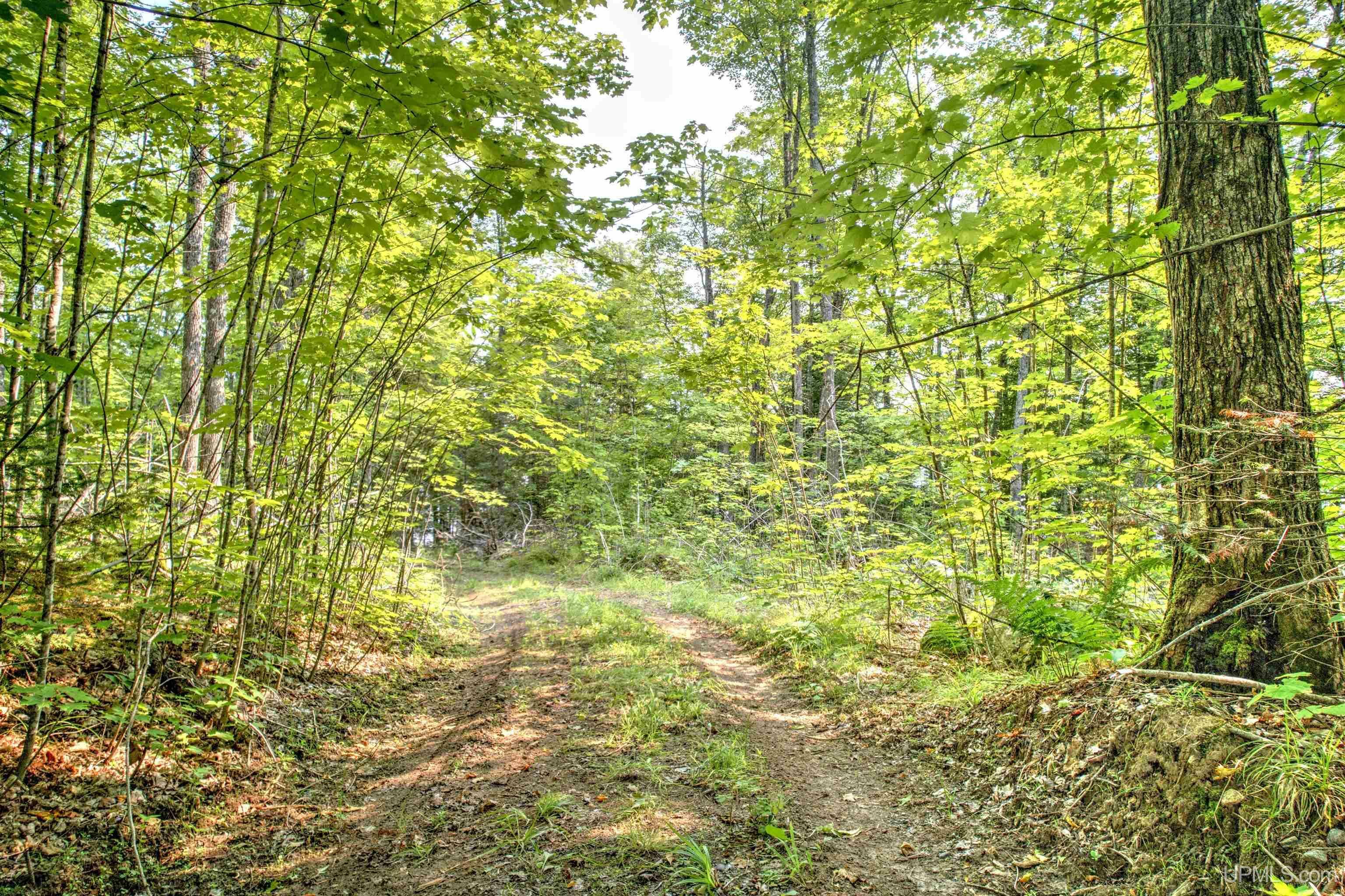 Property Photo:  Lot 9 Petticoat Lake Road  MI 49862-0000 