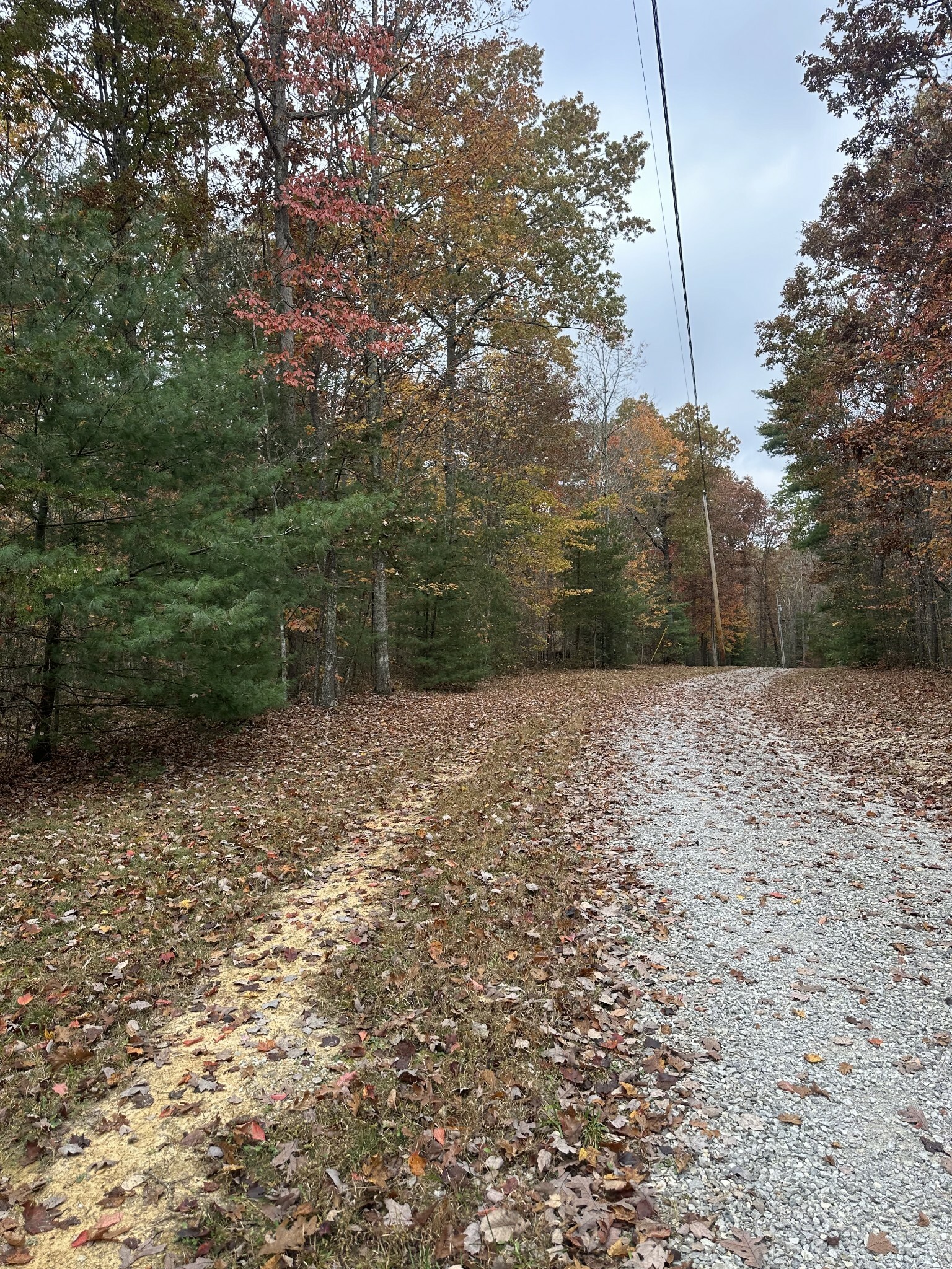 Property Photo:  0 Doe Ridge Lane  TN 37841 