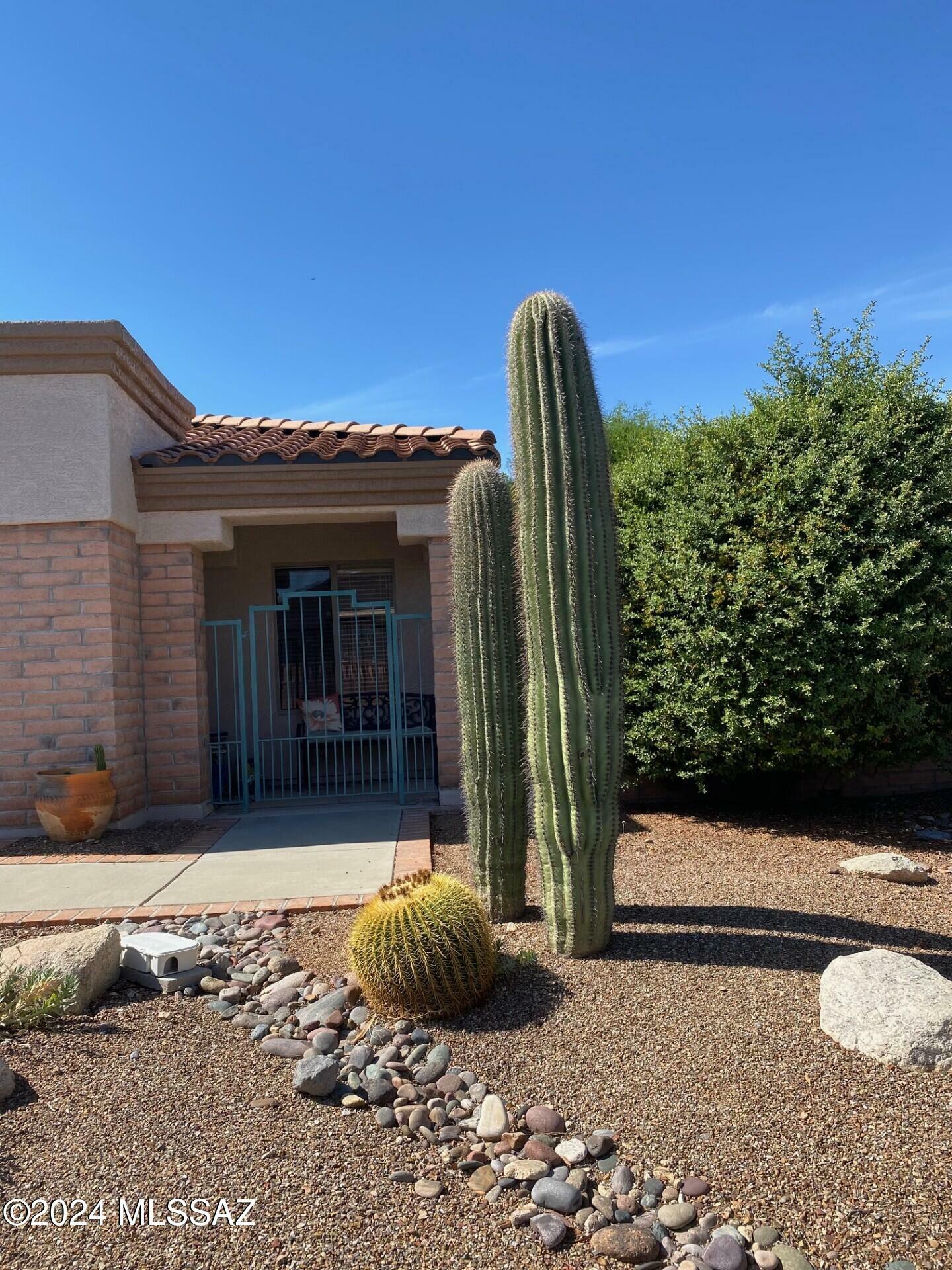 Property Photo:  2041 W Amblemorn Drive  AZ 85614 