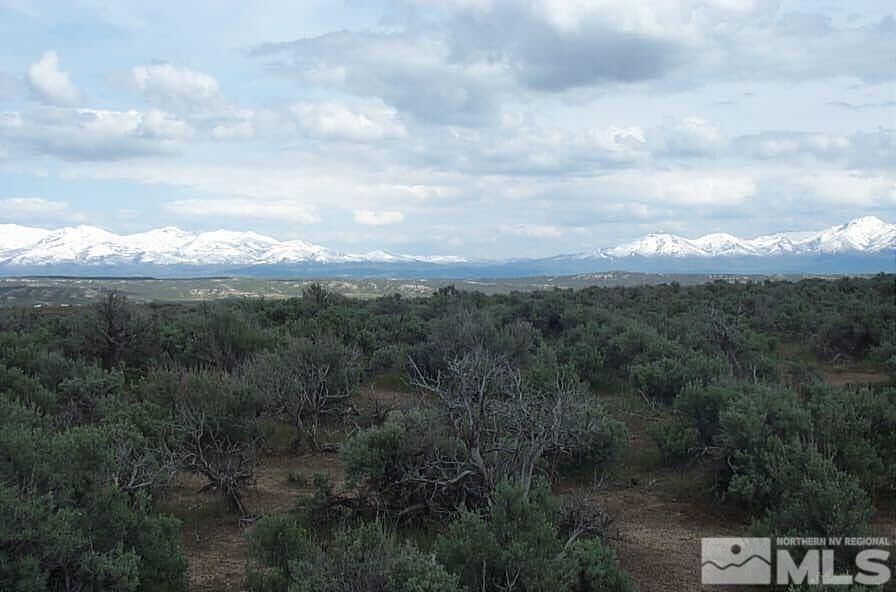 Property Photo:  0 Buchanan Avenue  NV 89801 