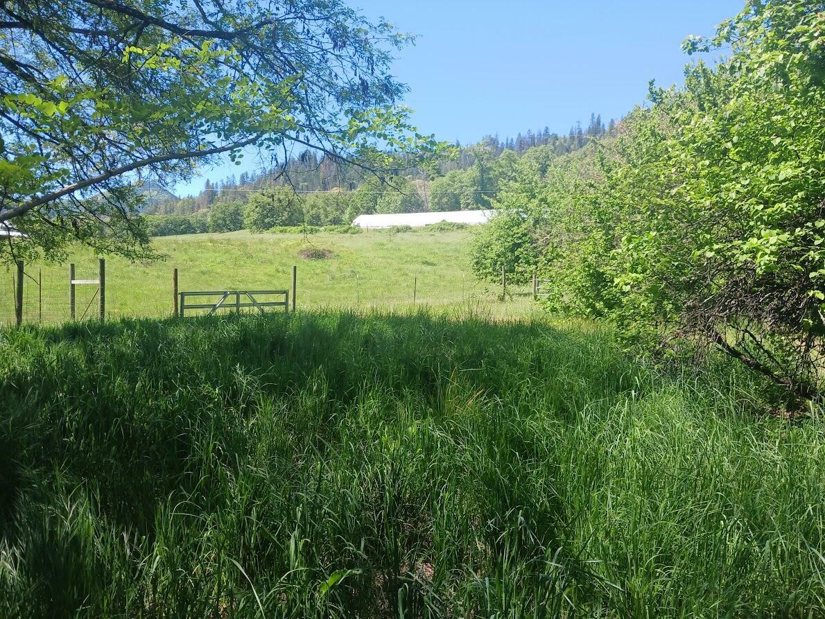 Property Photo: 14855 E Evan'S Creek Road Road OR 97537