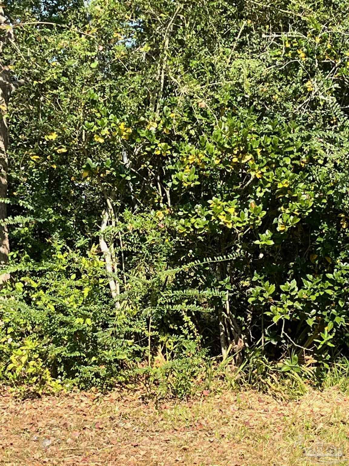 Property Photo:  5950 Frank Reeder Rd  FL 32526 