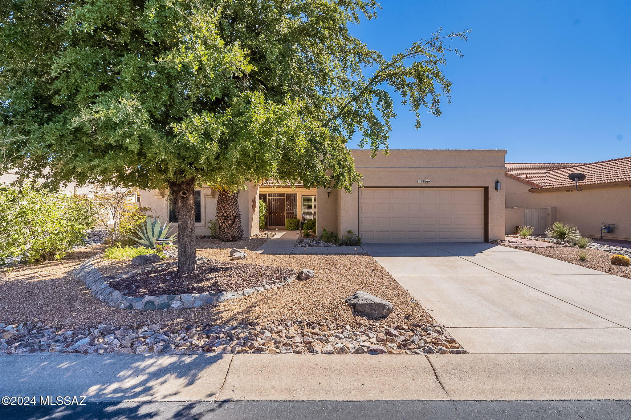 37309 S Blackfoot Drive  Saddlebrooke AZ 85739 photo