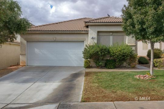 Property Photo:  467 Canyon View Way  NV 89027 