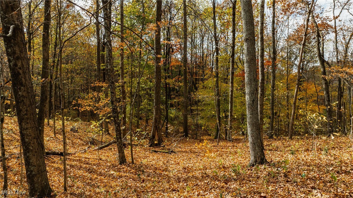 Property Photo:  0 Chestnut Run Road  WV 26143 