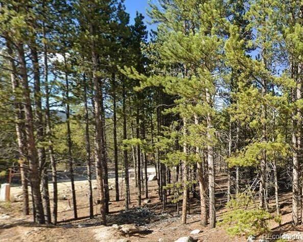 Property Photo:  455 Lodgepole Drive  CO 80461 