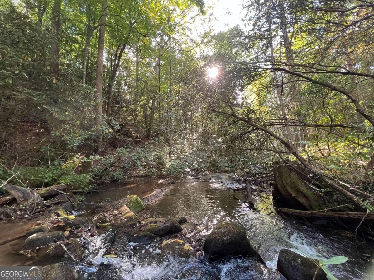 Property Photo: 0 Zion Hill Road GA 30540