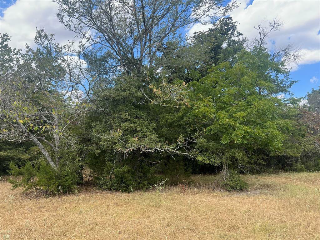 Property Photo:  27141 Rock Island Road  TX 77445 