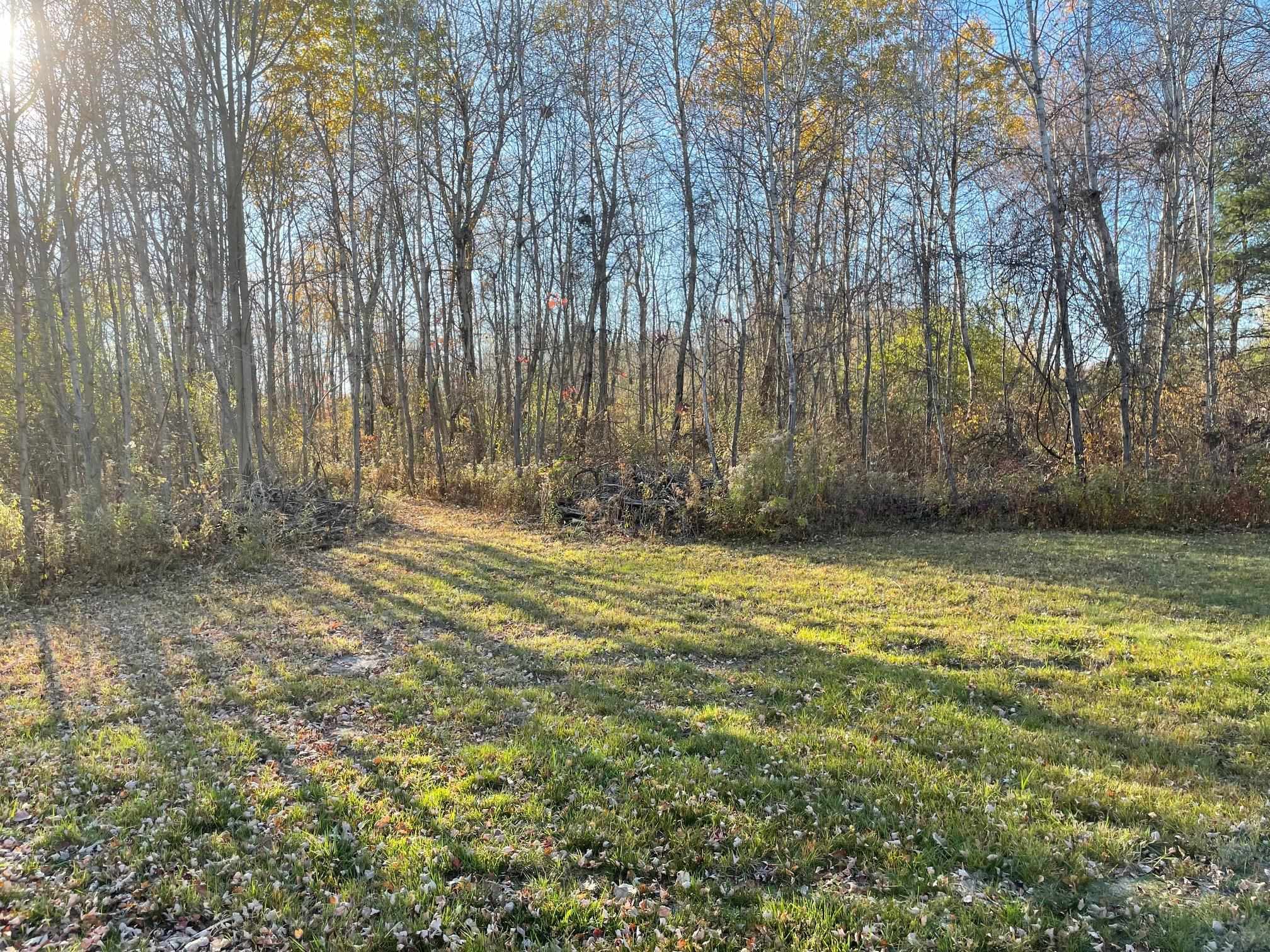 Property Photo:  2186 Ben Drive  MI 48858 