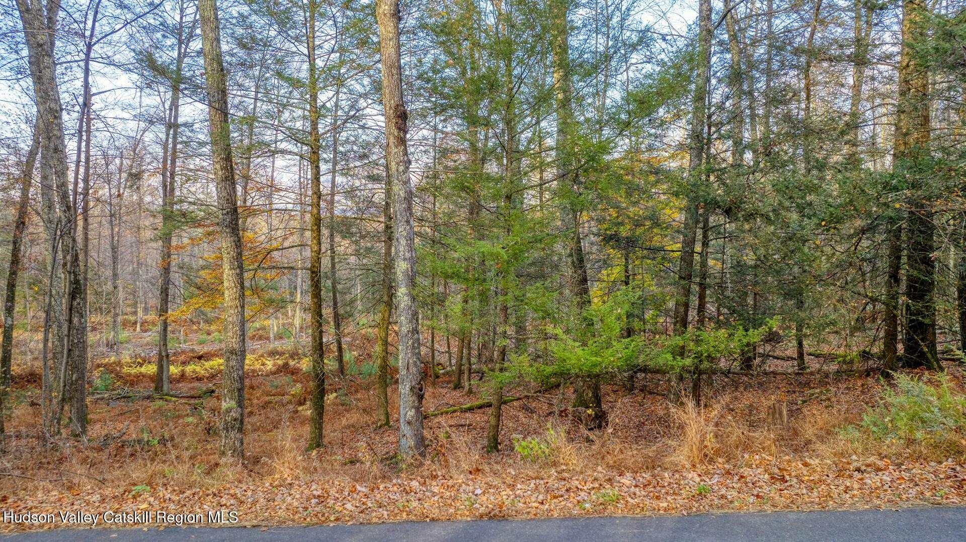 Property Photo:  Tbd Cherry Hill Lot #1  NY 12484 