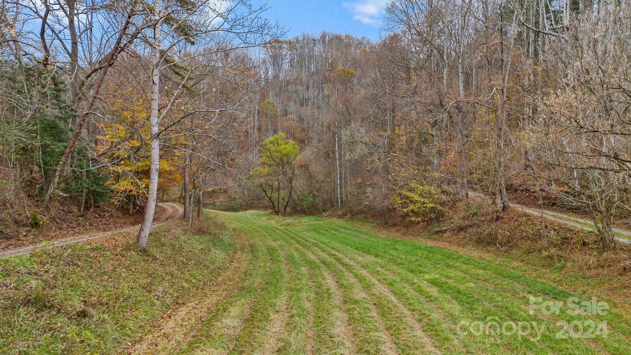 Property Photo:  222 Indigo Bunting Lane  NC 28753 