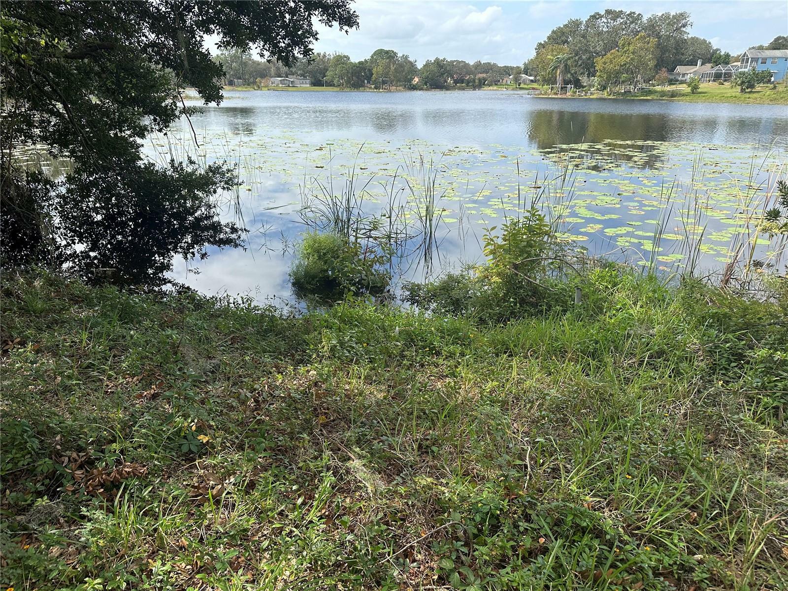 Property Photo:  Luana Drive  FL 34788 