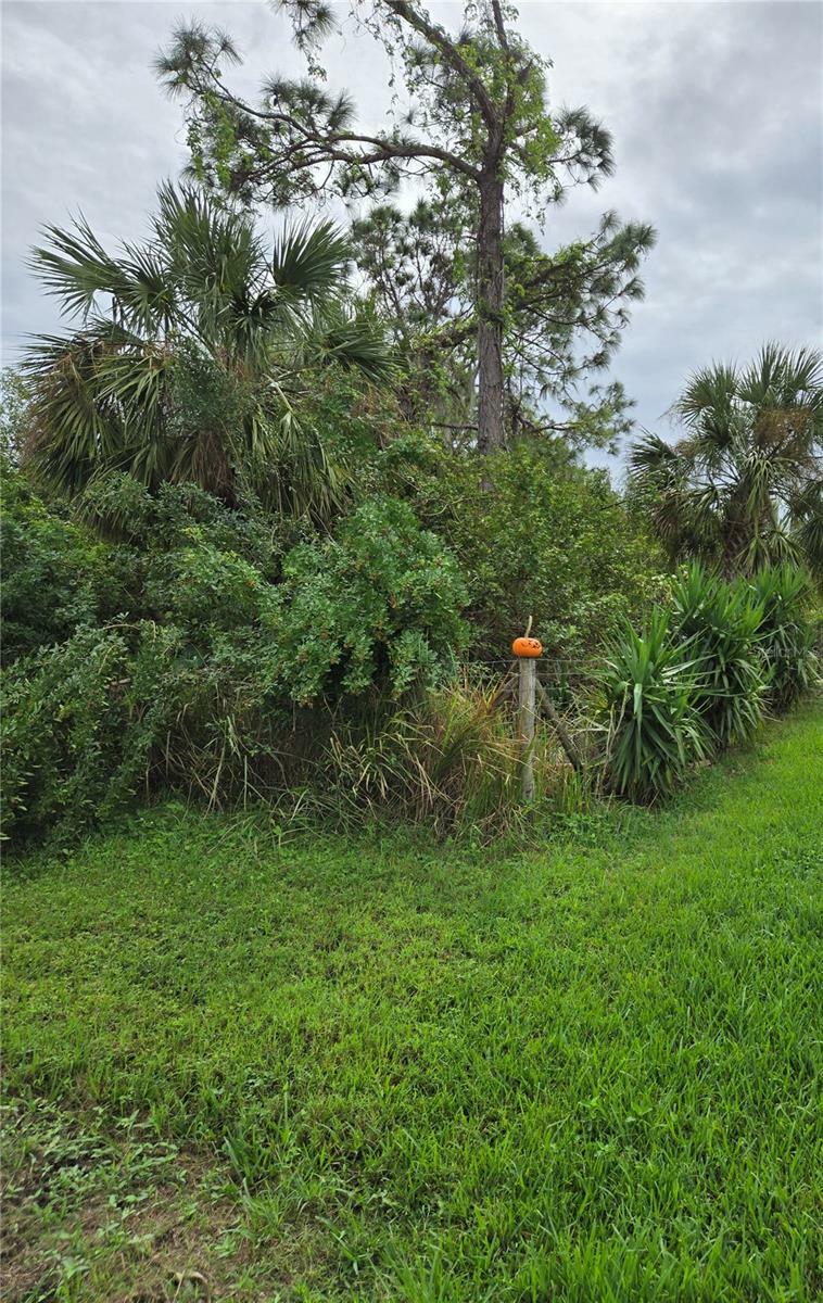 Property Photo:  3065 Wenona Drive  FL 34288 