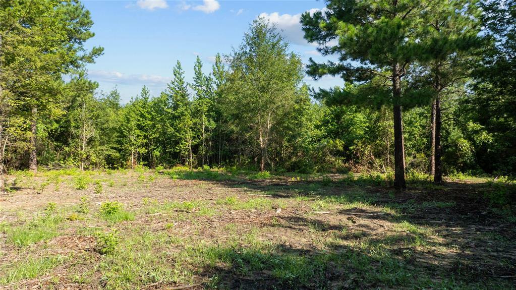 Property Photo:  9443 Mistletoe Road  TX 75644 