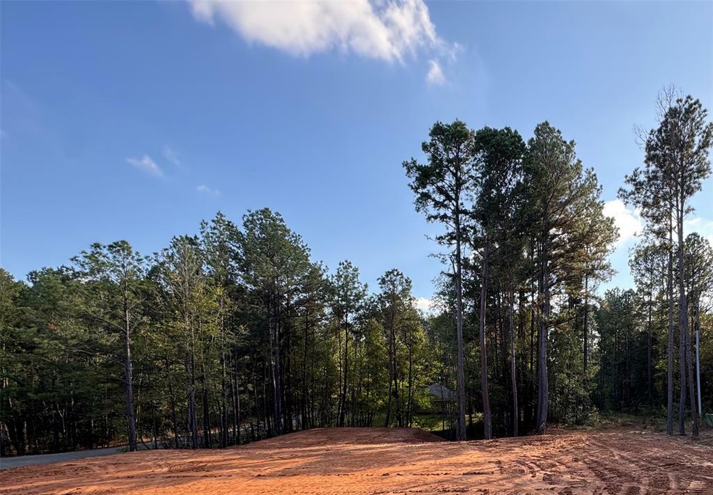 Property Photo:  Lot 3 April Lane  LA 71107 