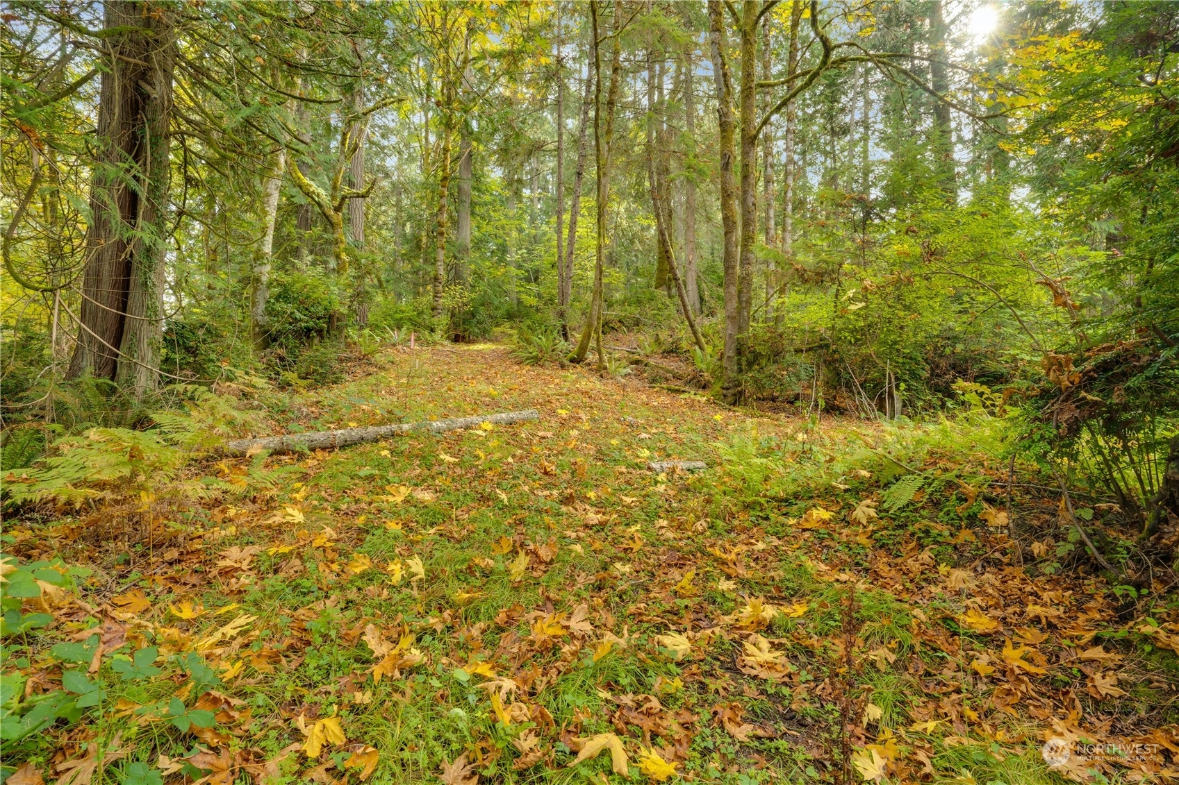 Property Photo:  16315 56th Street SW  WA 98351 