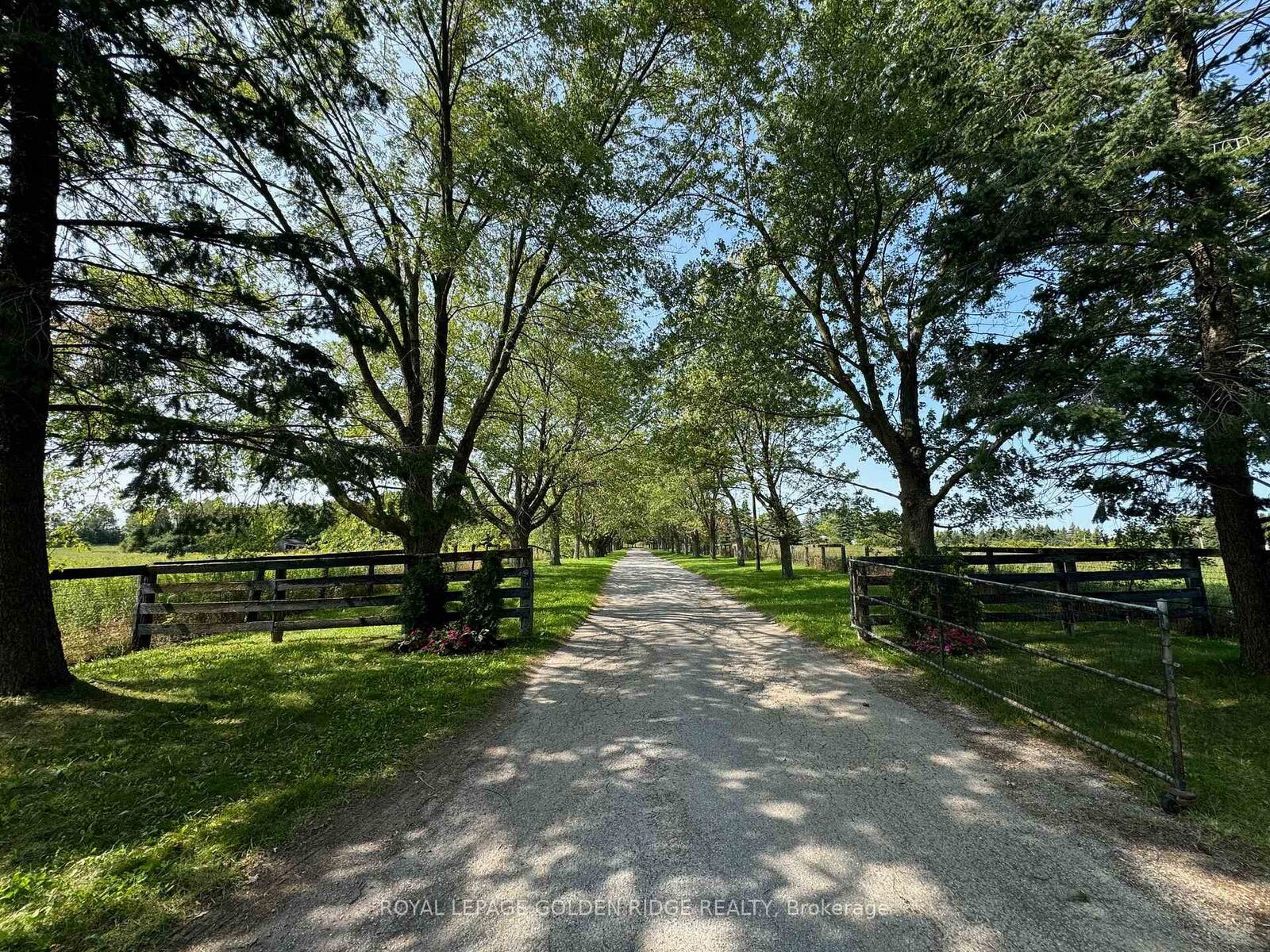 Property Photo:  13682 Warden Avenue  ON L4A 7X5 