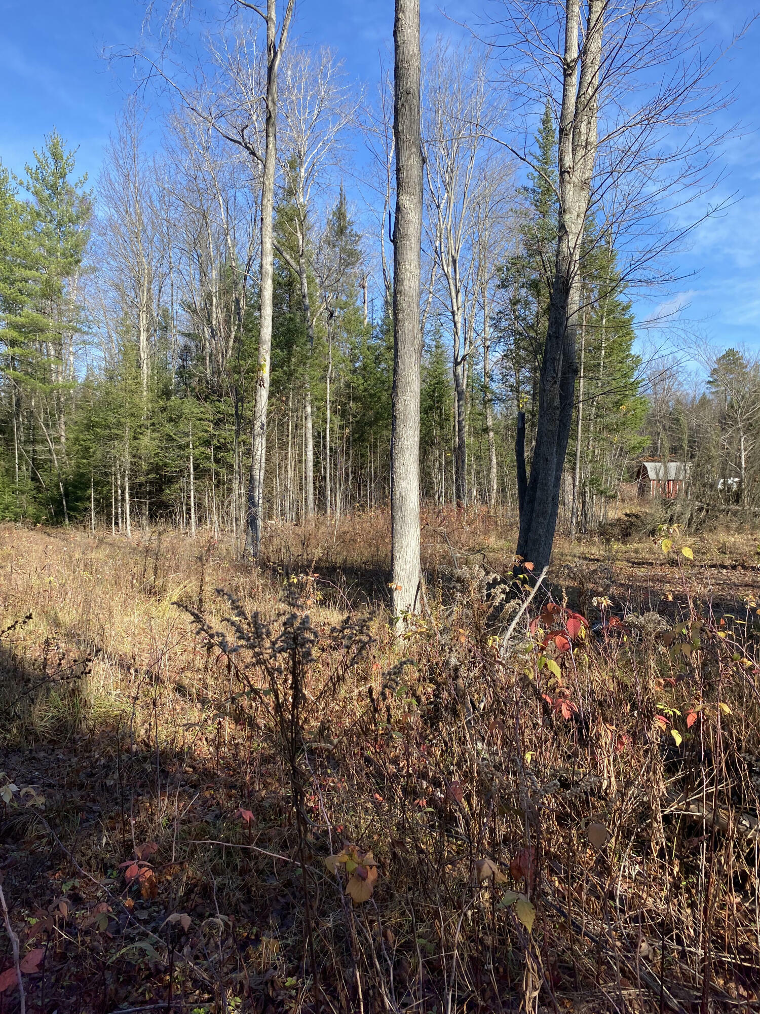 Property Photo:  Nhn McSwain Road 2.29 Acres  MI 49709 