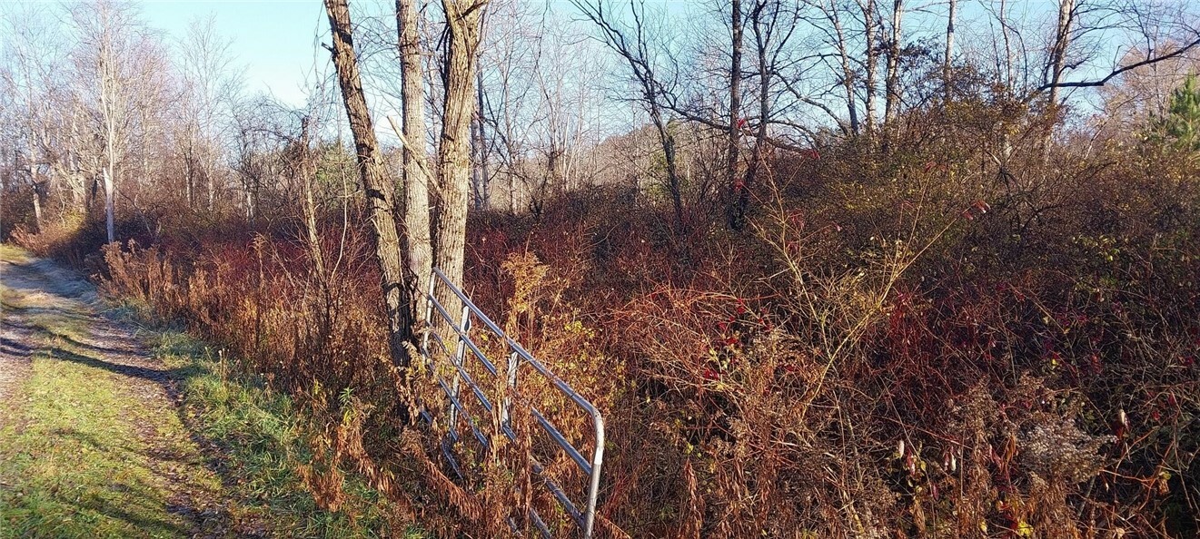 Property Photo:  0 Walpole Rd  NY 13073 