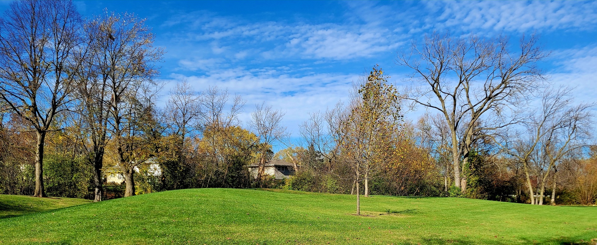 Property Photo:  209 Clearbrook Court  IL 60193 