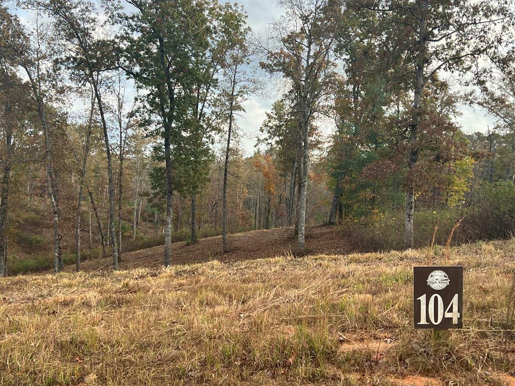 Property Photo:  Lot 104 High River Road  GA 30540 