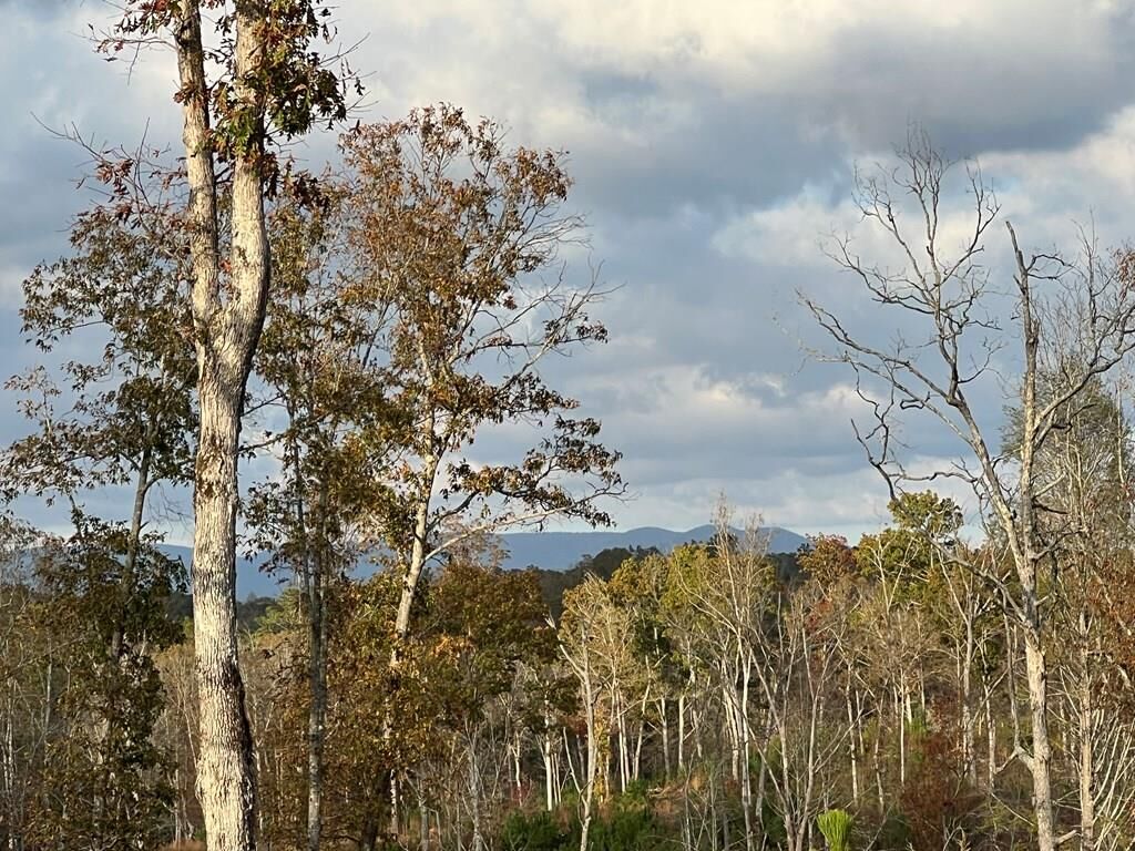 Property Photo:  Lot 104 High River Road  GA 30540 
